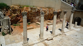 P1070538.JPG